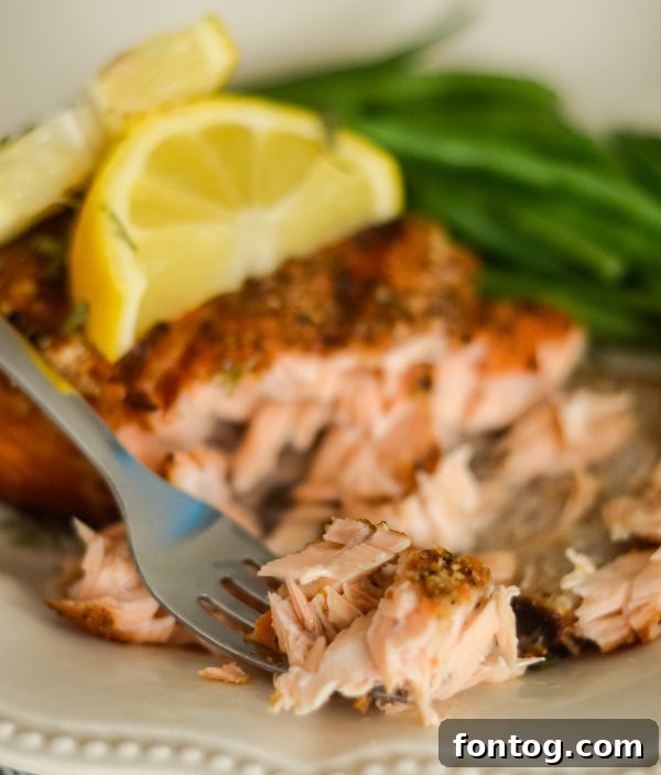 pellet grilled salmon leftovers