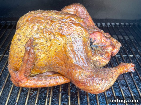 Pellet grill with a smoked turkey inside, demonstrating the smoking process.
