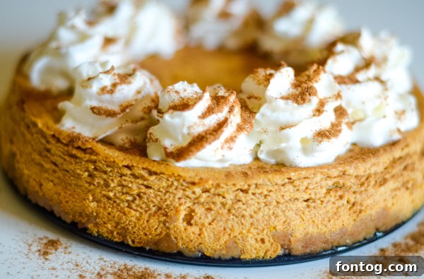 Ninja Foodi Pumpkin Cheesecake, showing its creamy texture
