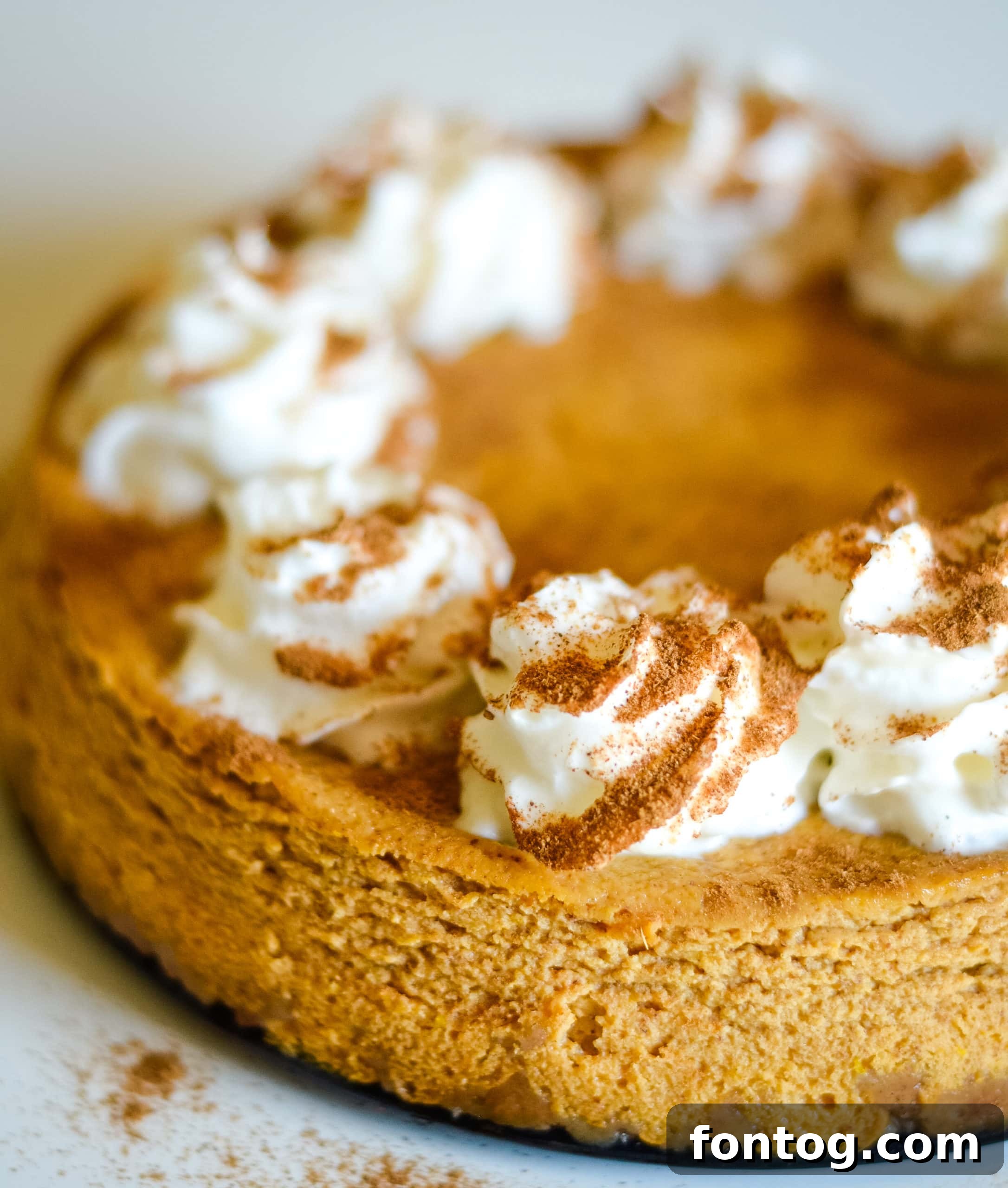 Delicious Ninja Foodi Pumpkin Cheesecake