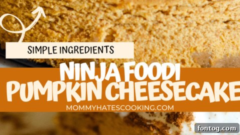Ninja Foodi Pumpkin Cheesecake promotional image for sharing