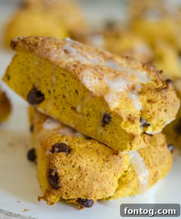gluten-free pumpkin chocolate chip scones