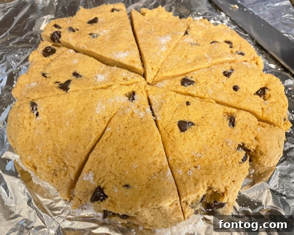 gluten-free pumpkin chocolate chip scones