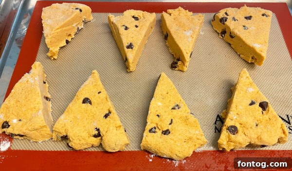 gluten-free pumpkin chocolate chip scones