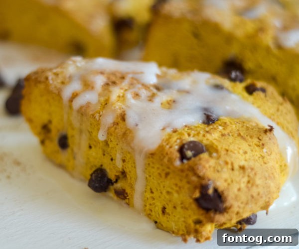 gluten-free pumpkin chocolate chip scones