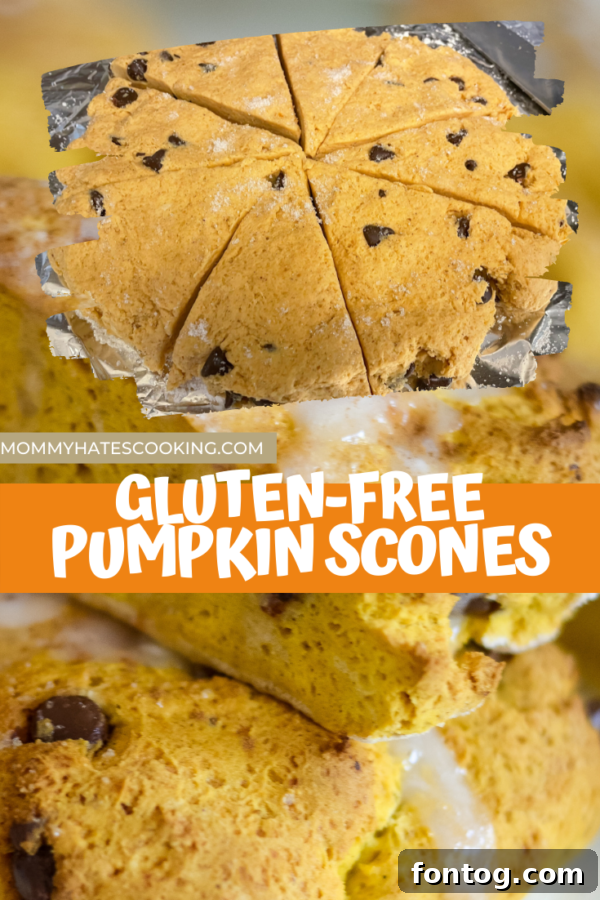 gluten-free pumpkin chocolate chip scones