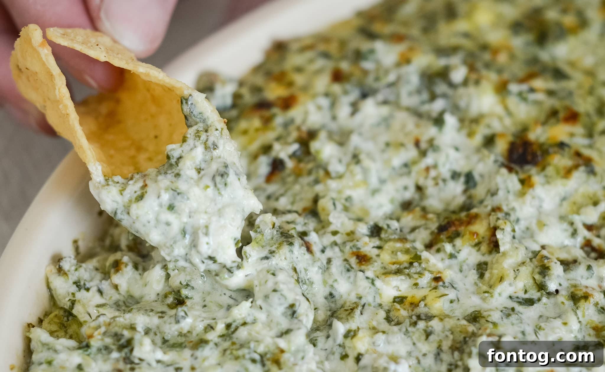 Spinach Artichoke Dip