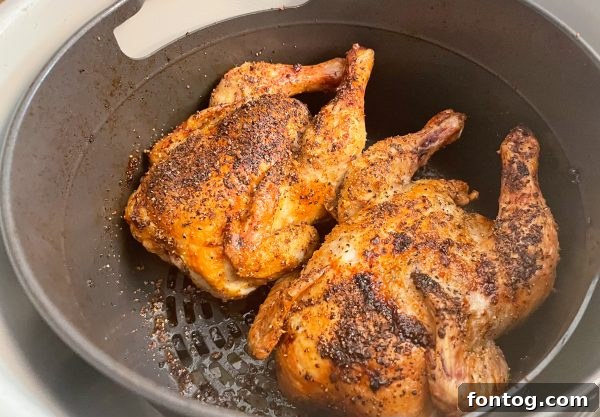 Succulent Ninja Foodi Cornish Hens 4 crispy ninja foodi cornish hens