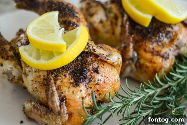 Succulent Ninja Foodi Cornish Hens 5 seasoning for cornish hens