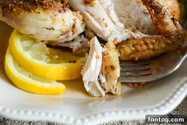 Succulent Ninja Foodi Cornish Hens 6 ninja foodi cornish hens with sides