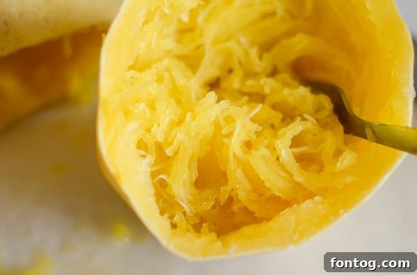 Perfect Spaghetti Squash in Your Ninja Foodi 2 ninja foodi spaghetti squash cooked and ready to serve