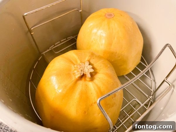 Perfect Spaghetti Squash in Your Ninja Foodi 3 ninja foodi spaghetti squash sliced in half before cooking