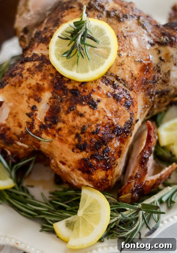 pellet grill recipes