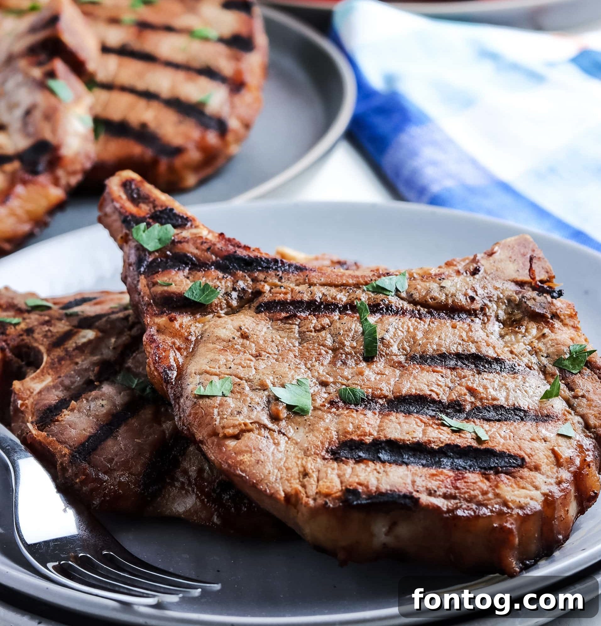 Easy Grilled Pork Chops