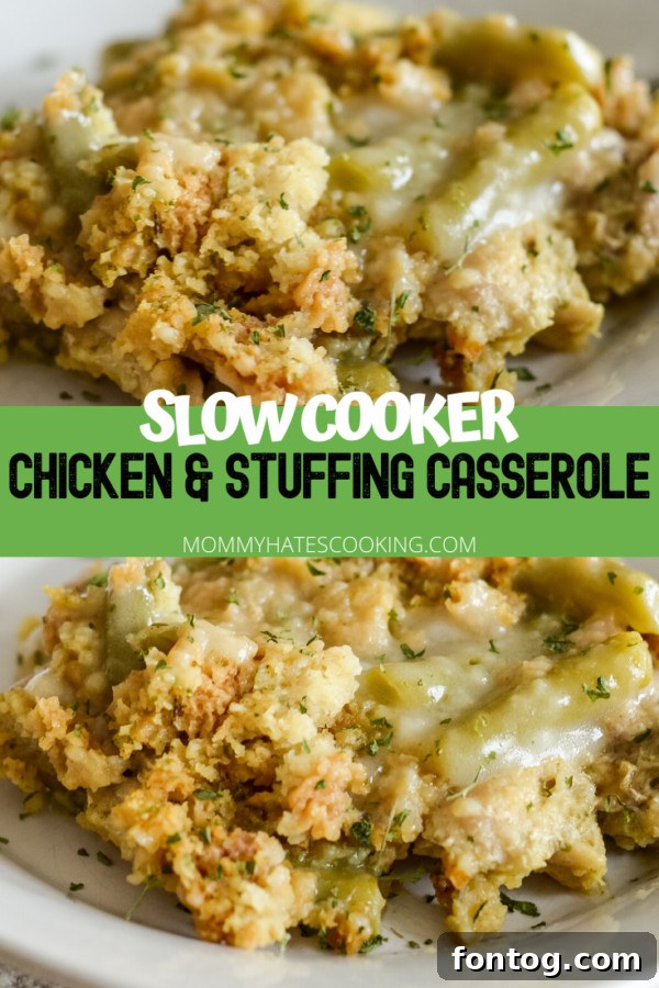 Delicious Slow Cooker Chicken and Stuffing