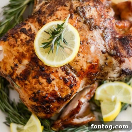 Selection of grilled foods