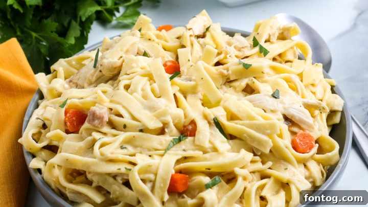 Creamy Chicken and Noodles