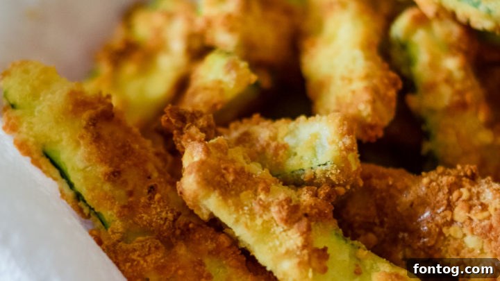 Ninja Foodi Zucchini Fries