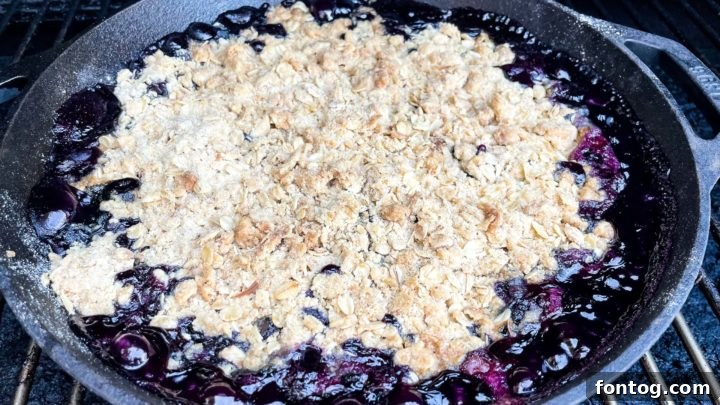 Grilled Blueberry Crisp