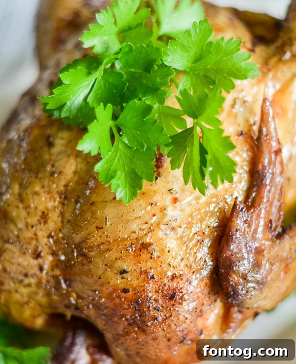 Roasted Coca-Cola Chicken on a pellet grill, perfectly golden and juicy.