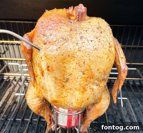 Roasted Coca-Cola Chicken prepared on a grill, showing the upright cooking method.