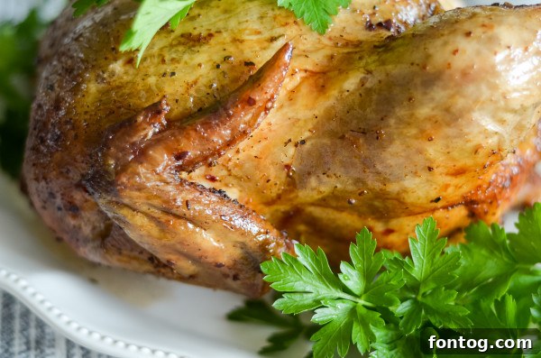 Cuisinart BBQ Basket with a whole chicken ready for grilling.