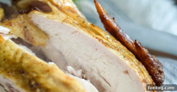 Pellet grill filled with wood pellets, ready for smoking chicken.