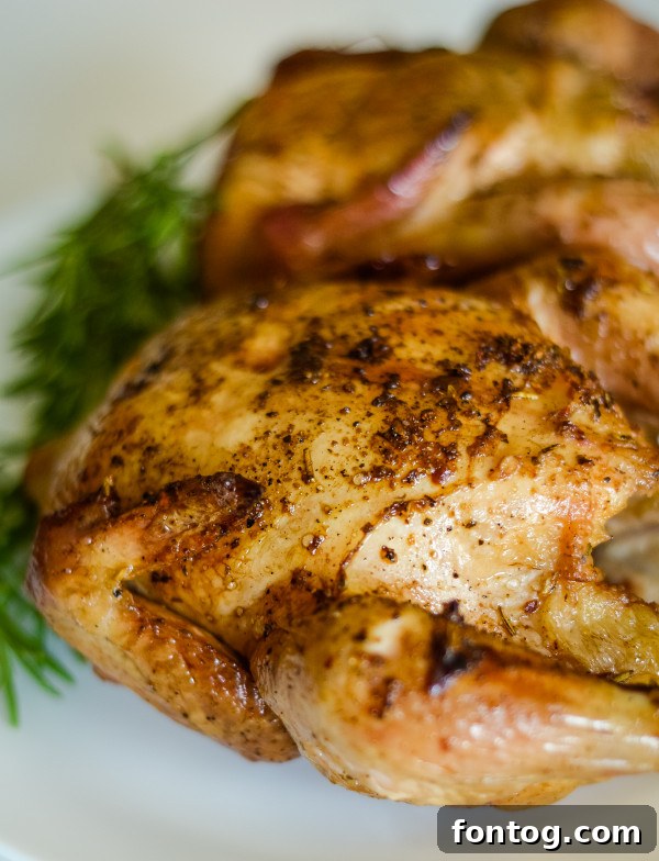 Perfectly cooked pellet grill cornish hens with crispy skin