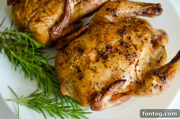 Seasoned cornish hens ready for the grill