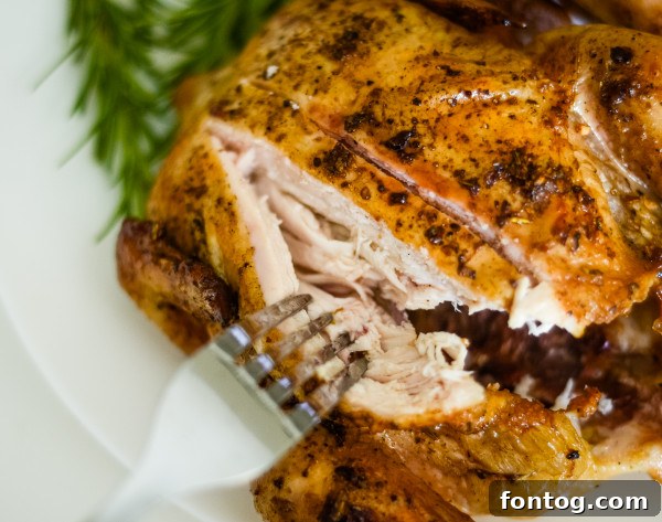 Plated pellet grill cornish hens served with grilled corn