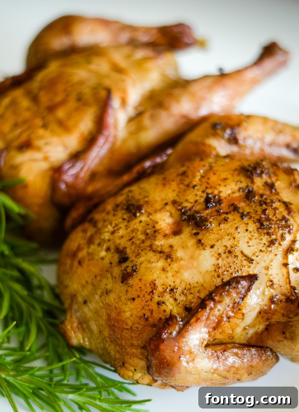 Close-up of a cooked pellet grill cornish hen