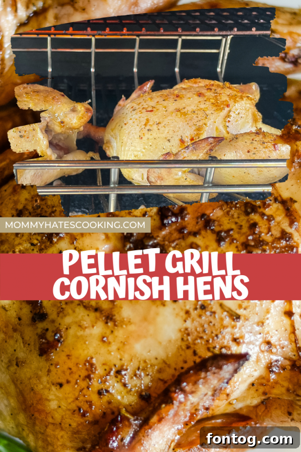 Pellet Grill Cornish Hens recipe pin image