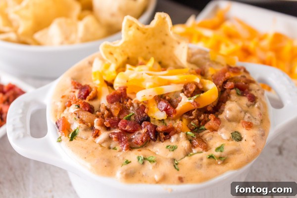 Creamy Ninja Foodi Cheese Dip 6 Close-up of the Ninja Foodi Cheeseburger Dip, showcasing its creamy texture and rich color.