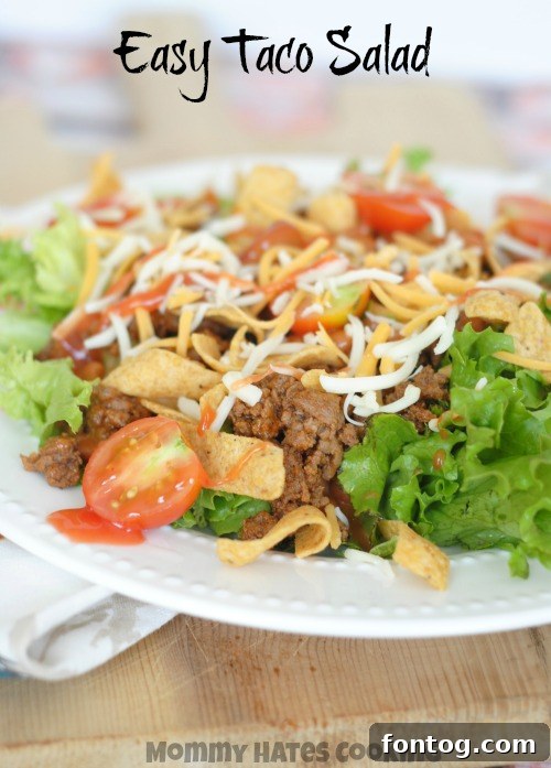 Full spread of Easy Taco Salad ingredients and assembled salad