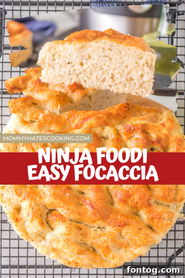 Ninja Foodi Focaccia Pin Image