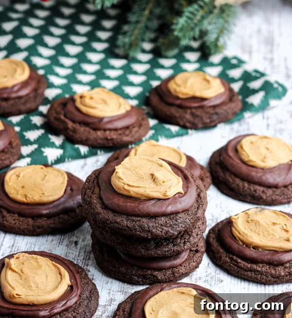 Airtight container with Buckeye Cookies for refrigeration