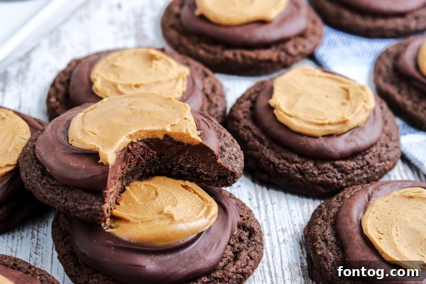 Close-up of a perfectly crafted Buckeye Cookie