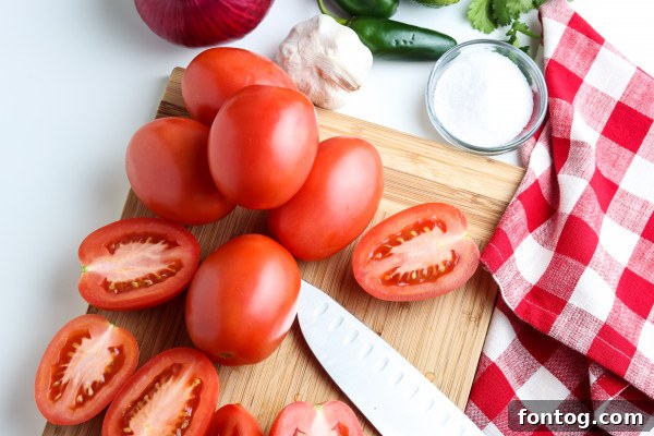 The Ultimate Pellet Smoked Salsa 7 smoked salsa