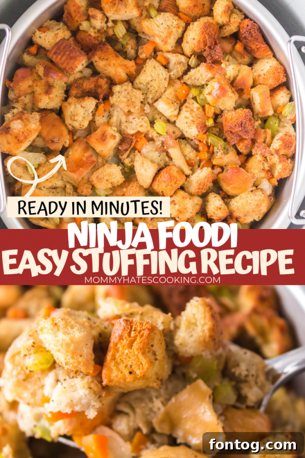 NINJA FOODI STUFFING