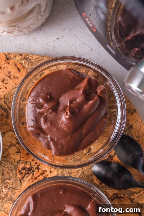 Ninja Foodi chocolate pudding in serving bowls with chocolate chips