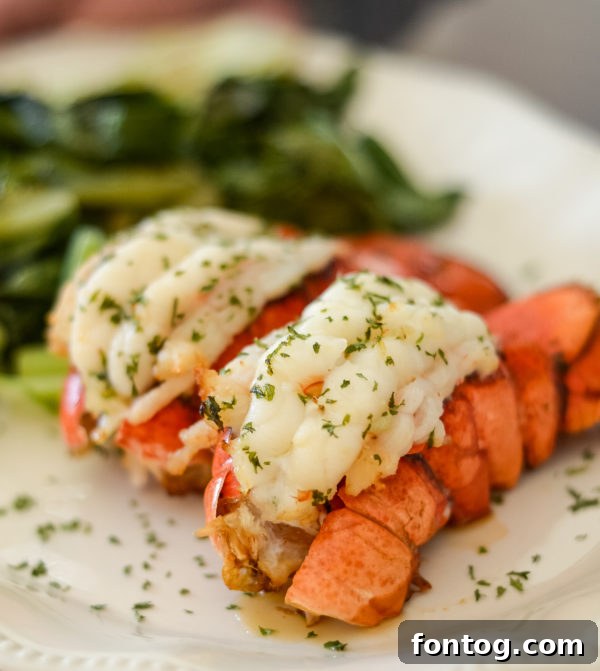 Love at First Bite: 20+ Ninja Foodi Valentines Day Recipes 2 Ninja Foodi Lobster Tail for Valentine's Day dinner