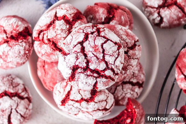 Love at First Bite: 20+ Ninja Foodi Valentines Day Recipes 5 Air Fryer Crinkle Cookies for Valentine's Day