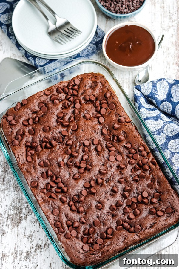Decadent Gluten-Free Chocolate Dump Cake 3 gluten free chocolate dump cake