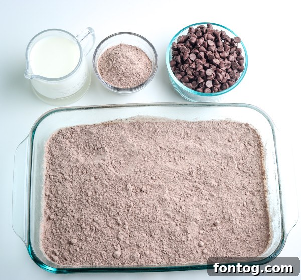 Decadent Gluten-Free Chocolate Dump Cake 4 gluten free chocolate dump cake