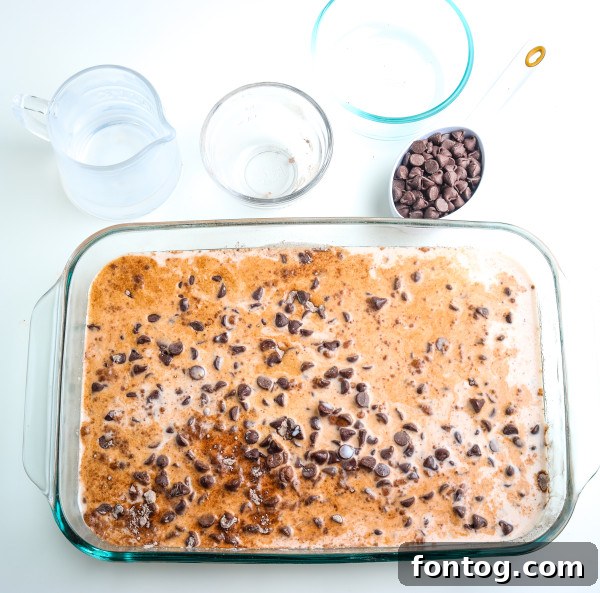 Decadent Gluten-Free Chocolate Dump Cake 6 gluten free chocolate dump cake