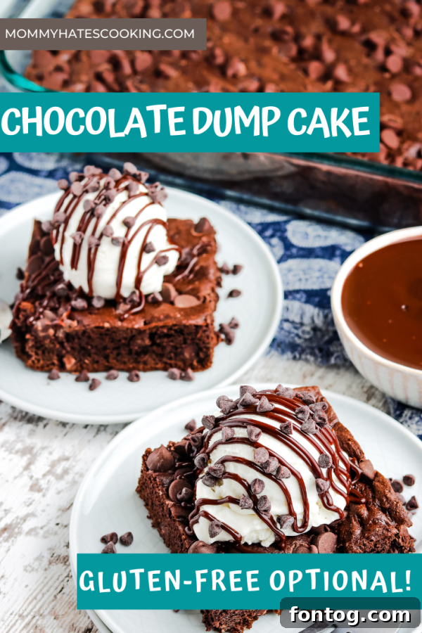 Decadent Gluten-Free Chocolate Dump Cake 10 gluten free chocolate cake dump cake