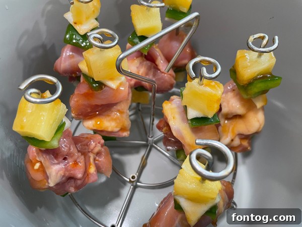 Ninja Foodi Skewer Stand: A metal skewer stand designed for the Ninja Foodi, with skewers neatly arranged on its racks.