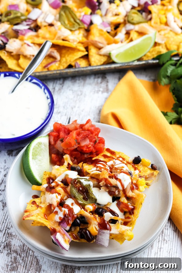 A generous serving of smoked chicken nachos, beautifully garnished with fresh cilantro and a dollop of sour cream.