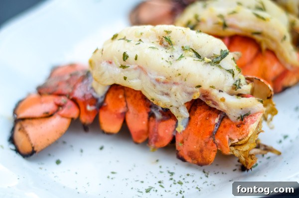 Variety of wood pellets suitable for grilling lobster