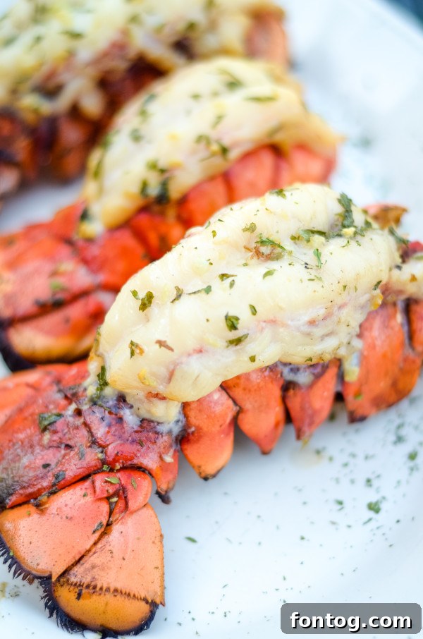 Cooked pellet grill lobster tails garnished with fresh herbs